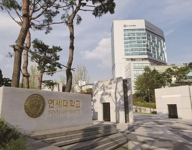 延世大学